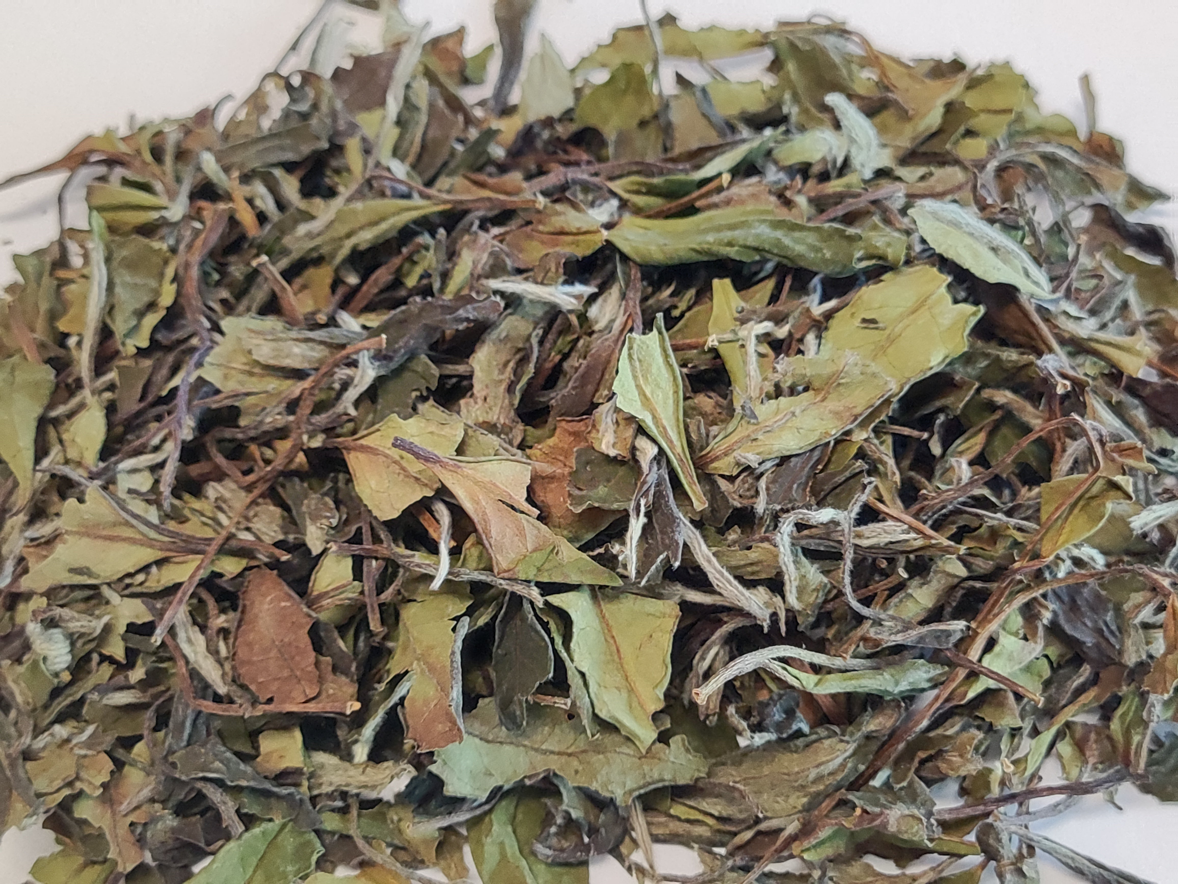 Mu Can Tea Bai Mu Dan White Tea – Yellow Mountain Tea House